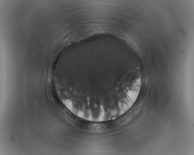 X0000113060277200909250915