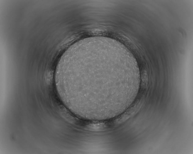 X0000113060278200909250915