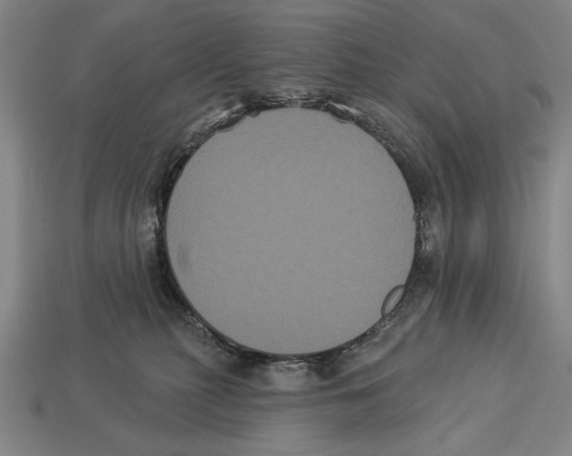 X0000113060279200909250915