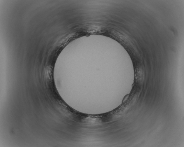 X0000113060280200909250915