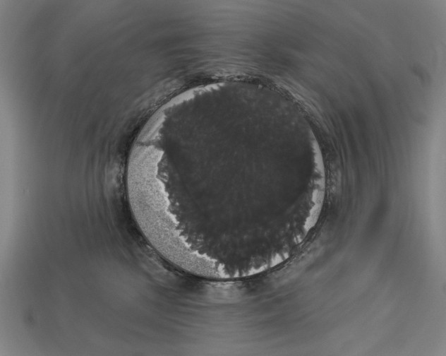 X0000113060281200909250915