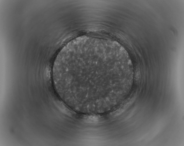 X0000113060282200909250915