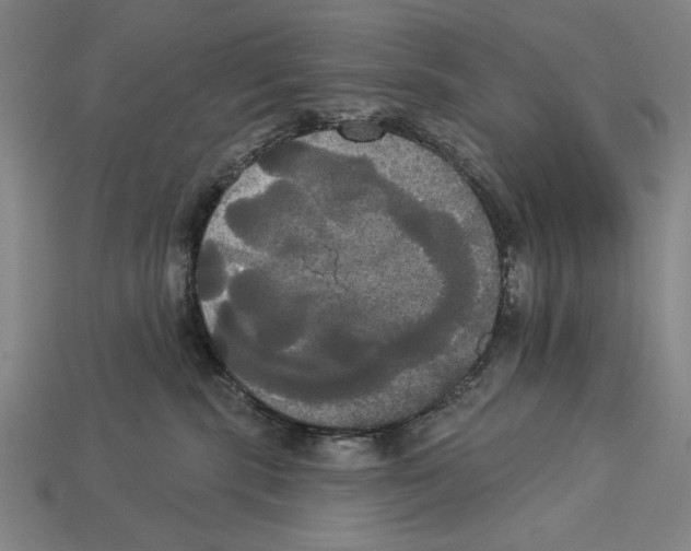 X0000113060283200909250915