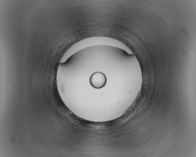 X0000113060284200909250915