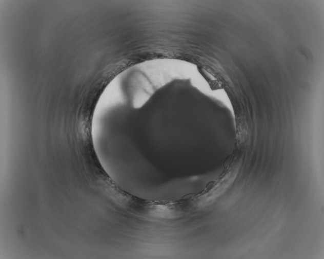 X0000113060285200909250915