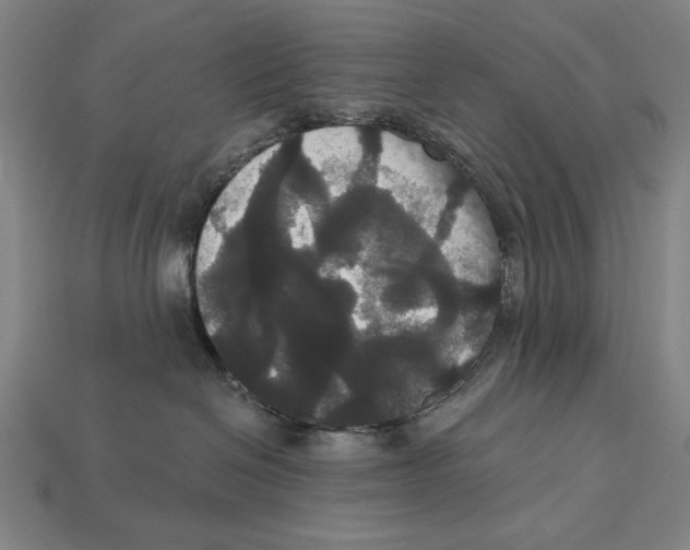 X0000113060286200909250915