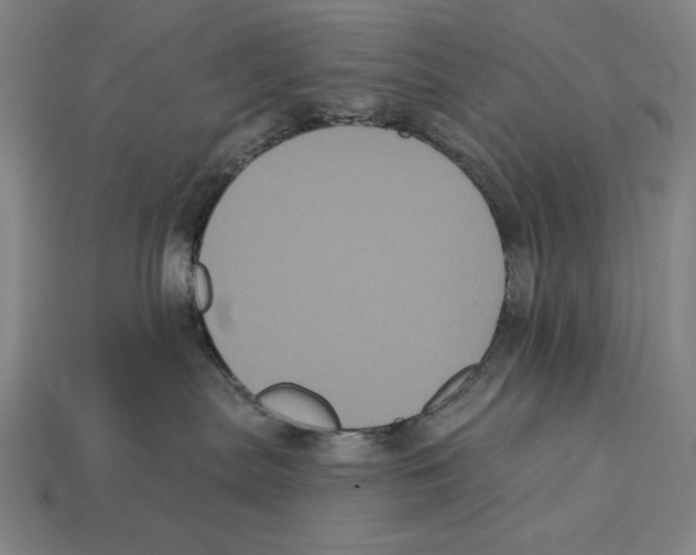 X0000113060287200909250915