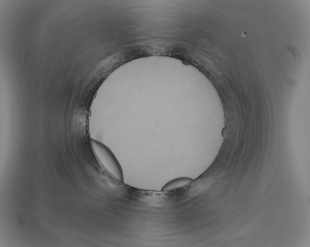 X0000113060288200909250915