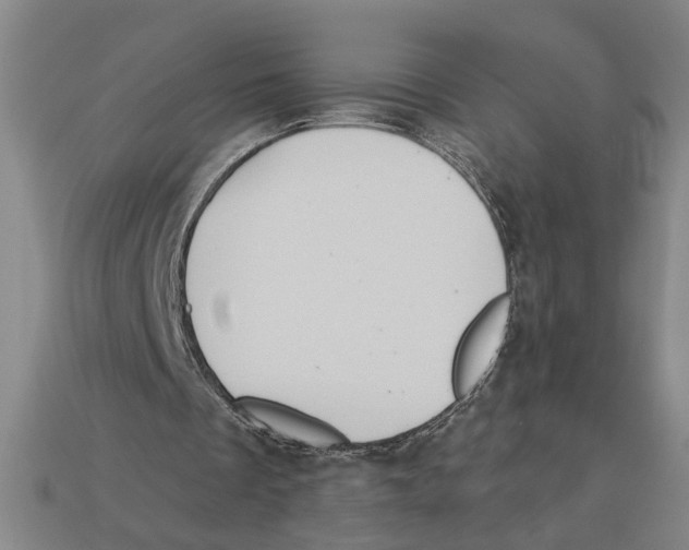 X0000113060289200909250914