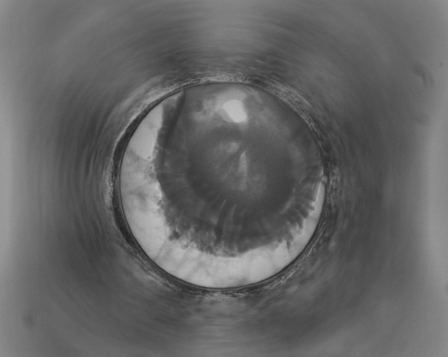 X0000113060290200909250914