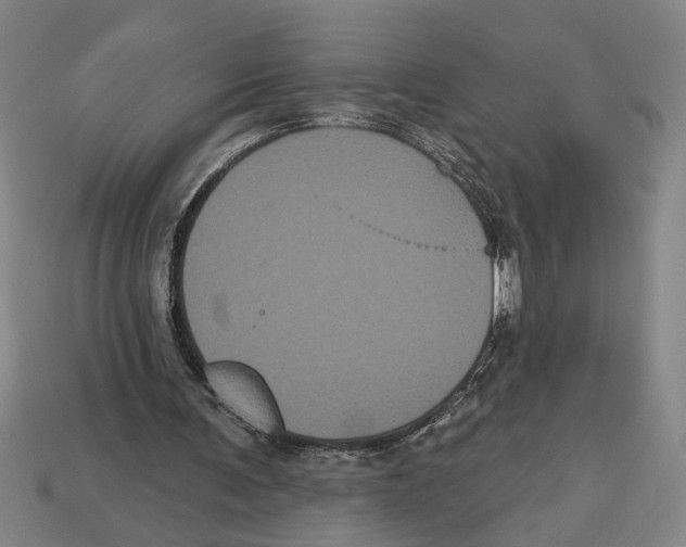 X0000113060291200909250914