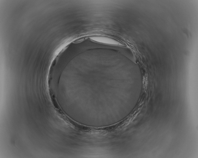 X0000113060292200909250914