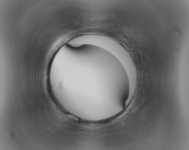 X0000113060293200909250914