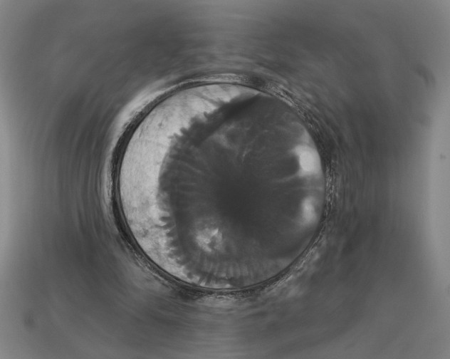 X0000113060294200909250914