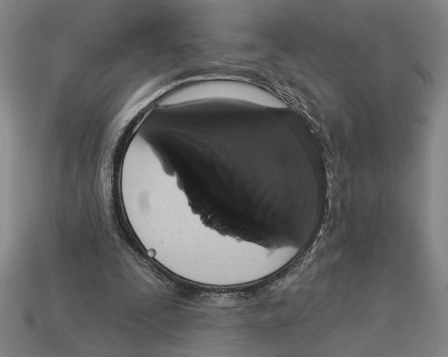 X0000113060295200909250914