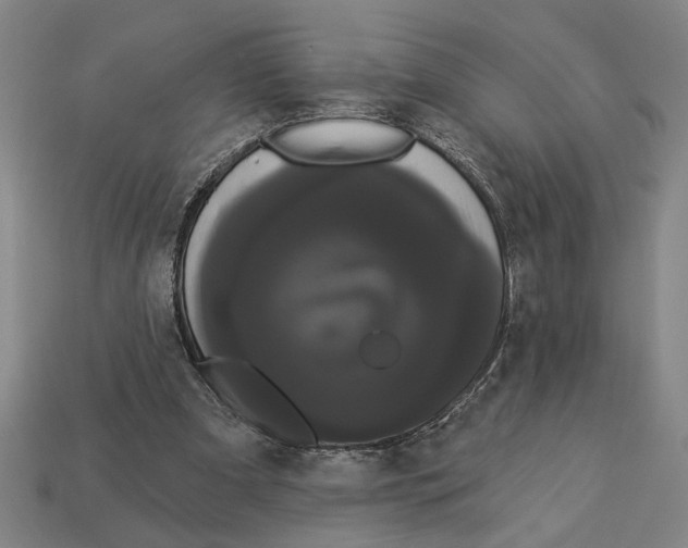 X0000113060297200909250914