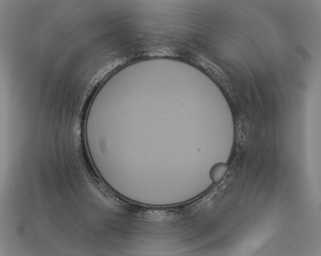 X0000113060298200909250914