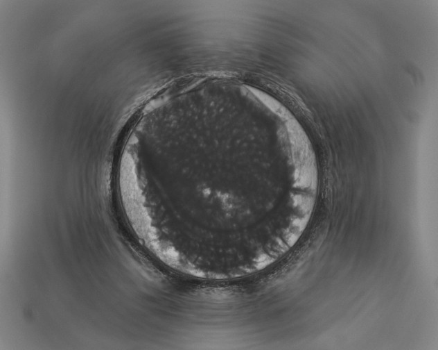 X0000113060299200909250914