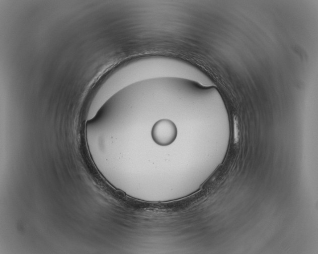 X0000113060300200909250914