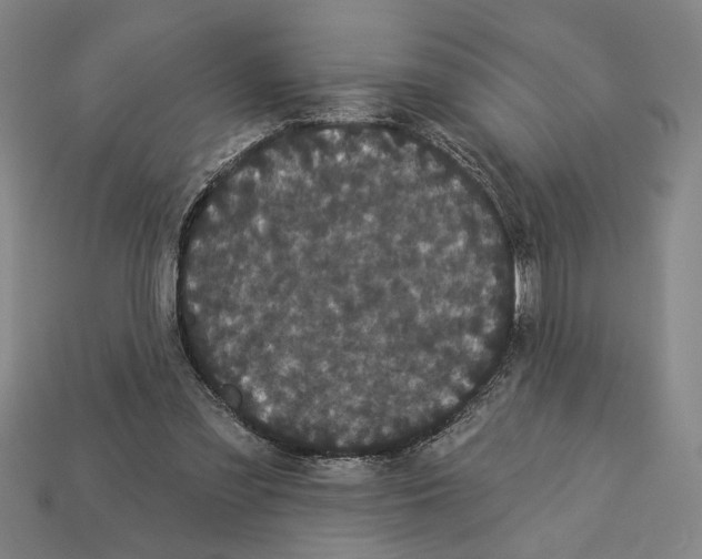 X0000113060301200909250914