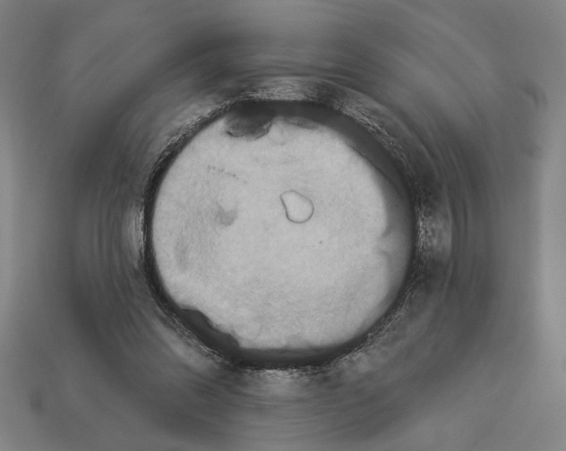 X0000113060302200909250914