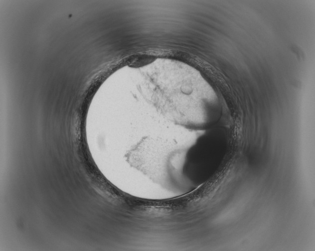 X0000113060303200909250914