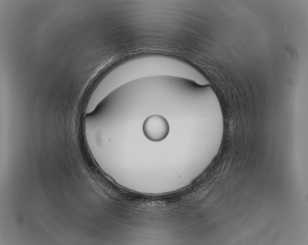 X0000113060304200909250914