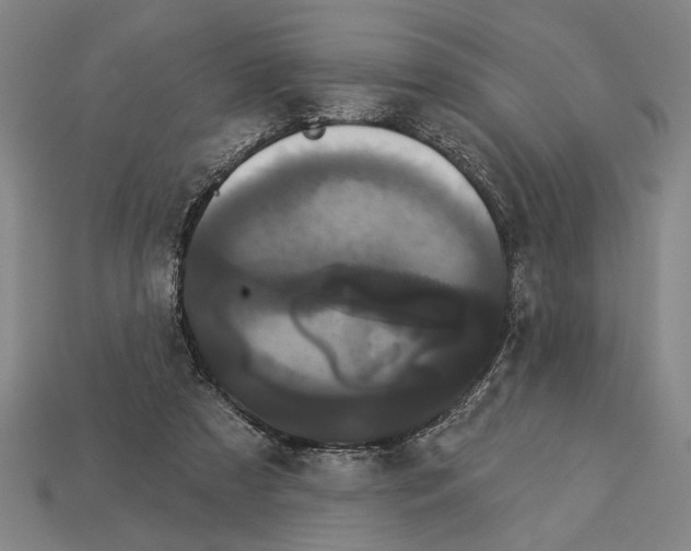 X0000113060305200909250914