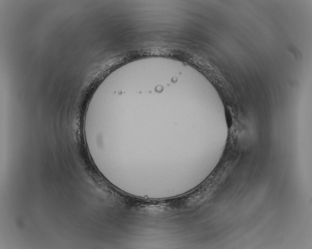 X0000113060306200909250914