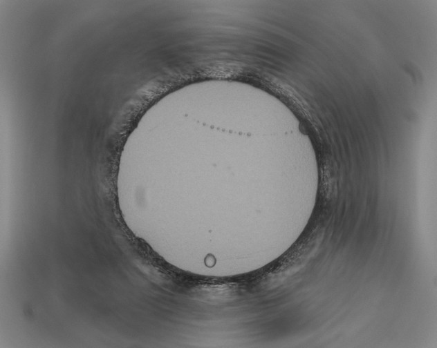 X0000113060307200909250914