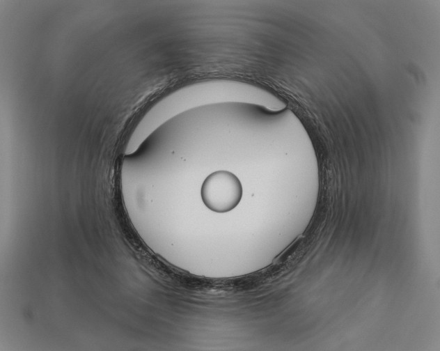 X0000113060308200909250914