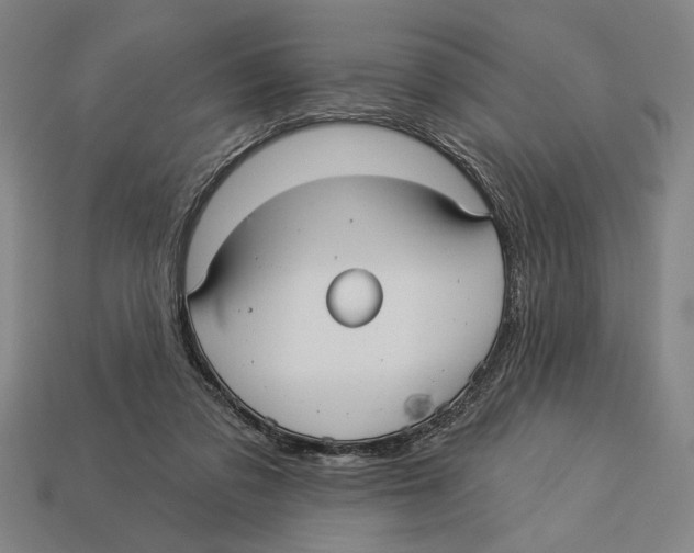 X0000113060309200909250914