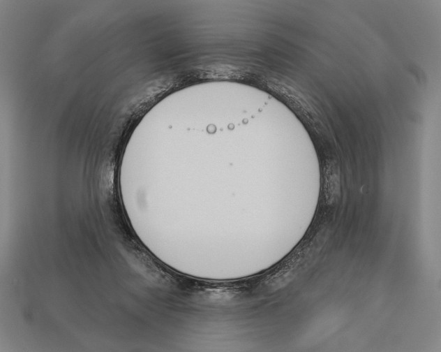 X0000113060310200909250914