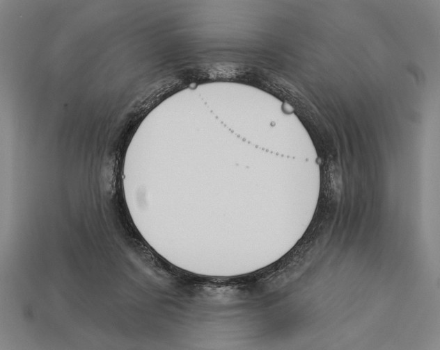 X0000113060311200909250914