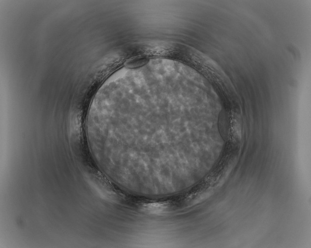 X0000113060312200909250914