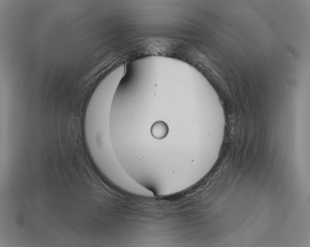 X0000113060313200909250914