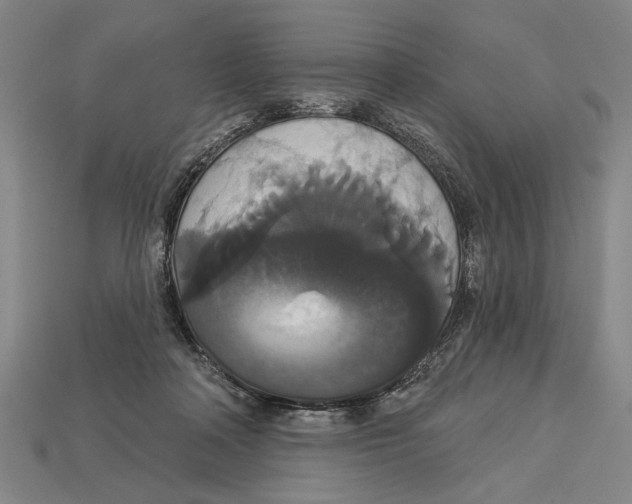 X0000113060314200909250914