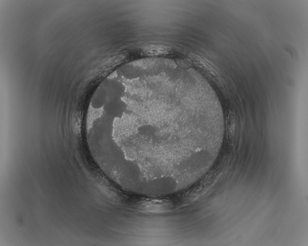 X0000113060315200909250914