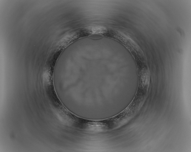 X0000113060316200909250914