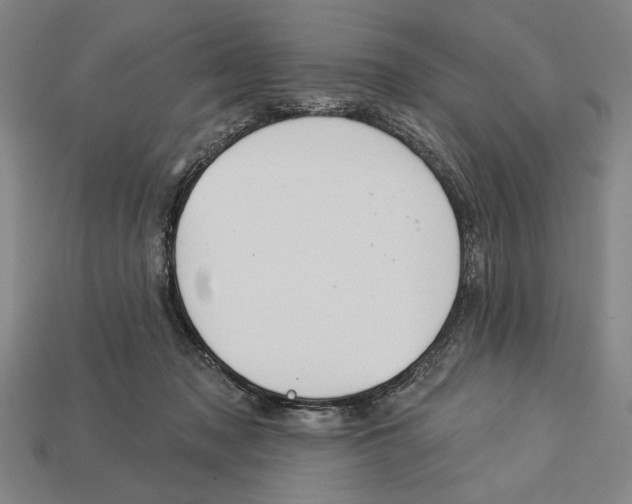 X0000113060317200909250914