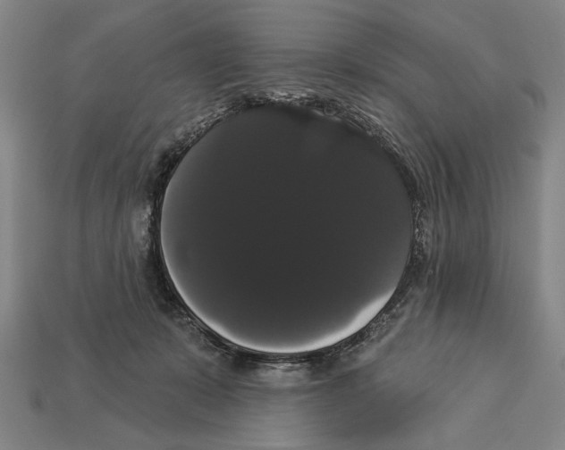 X0000113060319200909250914