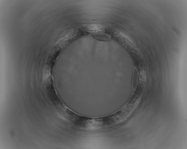 X0000113060320200909250914