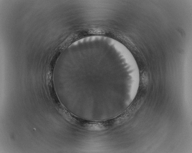 X0000113060322200909250914