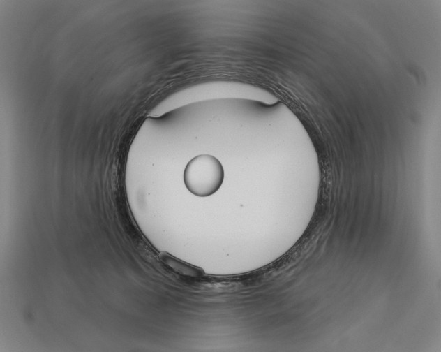 X0000113060323200909250914