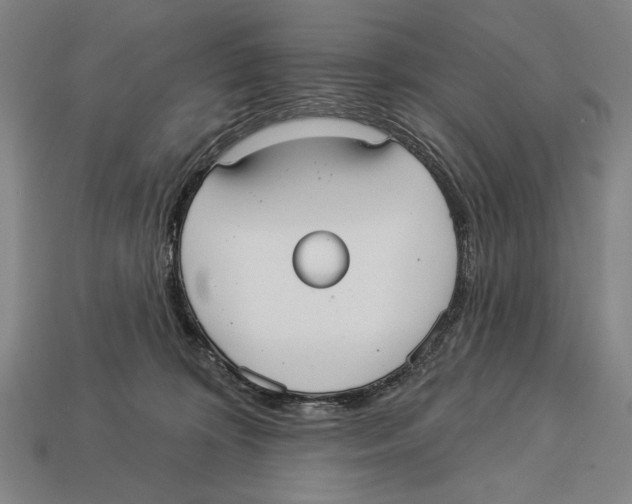 X0000113060324200909250914