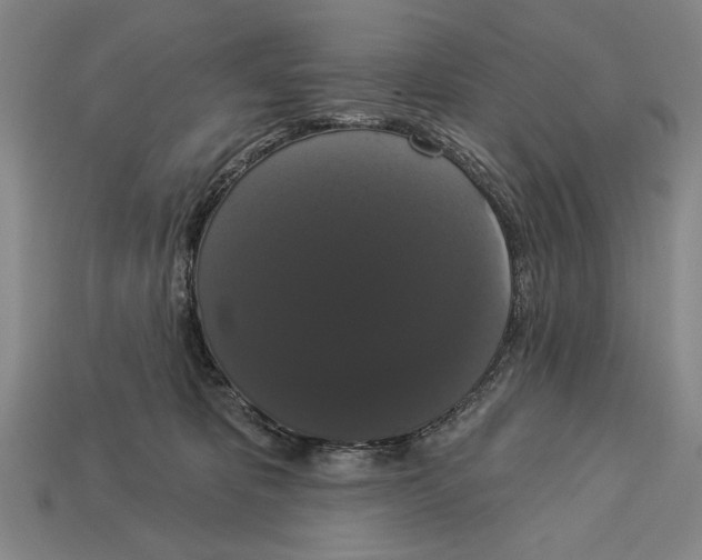 X0000113060325200909250914