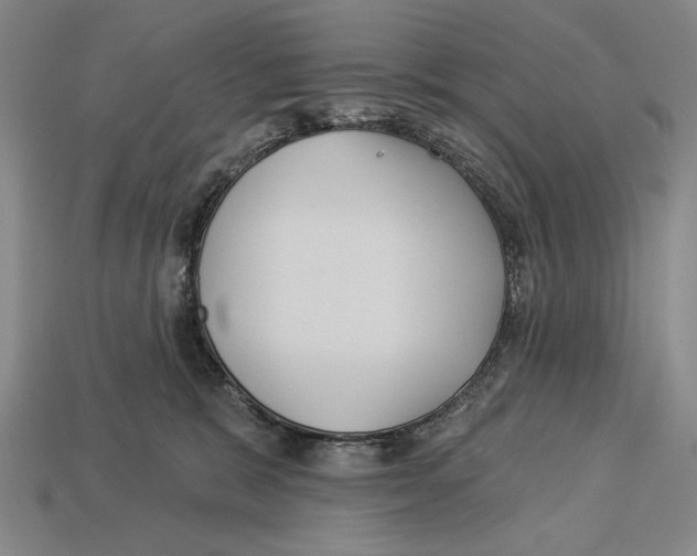 X0000113060327200909250914