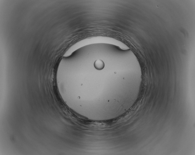 X0000113060328200909250914