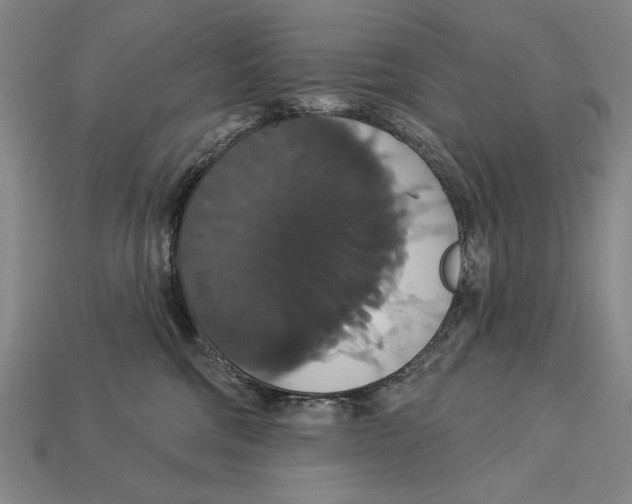 X0000113060330200909250914