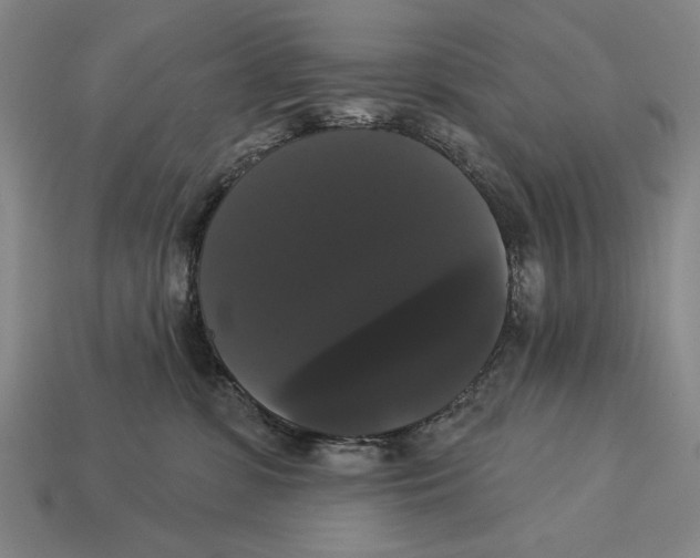 X0000113060331200909250914